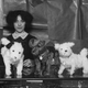 21st November 1911: Toys dogs at a Christmas Bazaar. (Photo by Topical Press Agency/Getty Images)